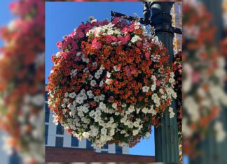 The Early Bird gets the Pre-Order