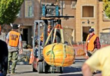 Tualatin Life’s Pumpkin Contest!