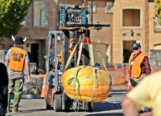 Tualatin Life’s Pumpkin Contest!