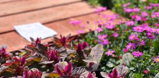 From Point A to Plan B