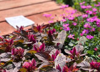 From Point A to Plan B