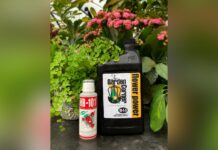 The Winter Rollercoaster