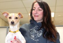 Lucky Dogs find new Homes through Oregon Dog Rescue