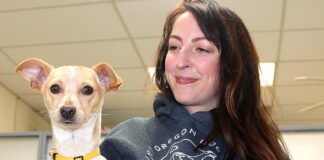 Lucky Dogs find new Homes through Oregon Dog Rescue