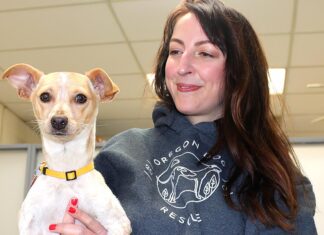 Lucky Dogs find new Homes through Oregon Dog Rescue