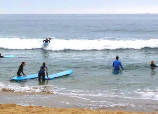 Rotary Offers a Golden Ticket