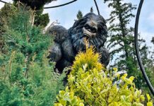 Coffee Conversations and Contemplations