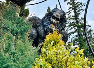 Coffee Conversations and Contemplations