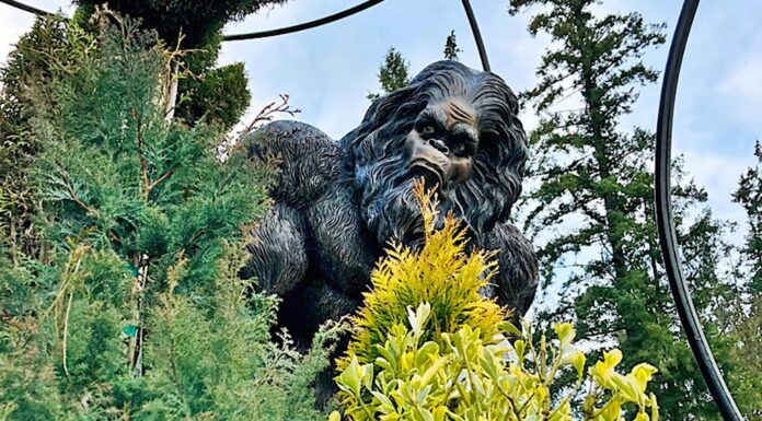 Coffee Conversations and Contemplations