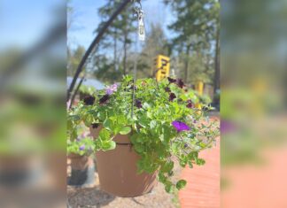 Movies, Plants, Action!