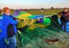 Taking Flight: Tigard Festival of Balloons seeks volunteers to keep event soaring Longtime balloon crew members Marilyn Barnhart (L) and Edie Stoaks hold the opening of a hot air balloon to assist in its inflation. Both women have volunteered on crew since the 1990s.