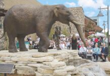 Tualatin Arts Scene Thrives Thanks to Support of Businesses Center Cal Properties for “I Wonder” Mastodon sculpture at Nyberg Rivers Shopping Center, awarded 2015.