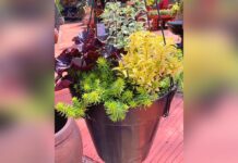 Dressing for Success