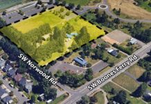 Local developer with sights on Southwest Norwood asks for community collaboration