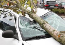 Are you ready for Tualatin’s extreme weather events and other emergencies?