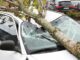 Are you ready for Tualatin’s extreme weather events and other emergencies?