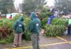 Scouts BSA Christmas Tree Recycling