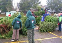 Scouts BSA Christmas Tree Recycling