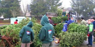 Scouts BSA Christmas Tree Recycling