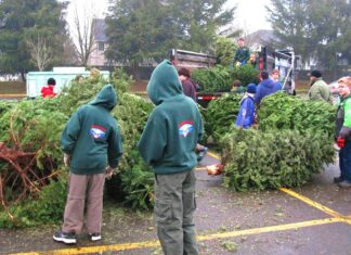 Scouts BSA Christmas Tree Recycling