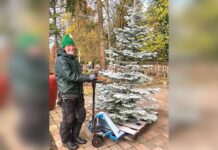 An Old Fashioned Christmas Tree