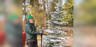 An Old Fashioned Christmas Tree