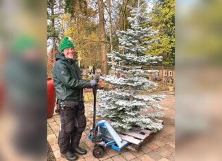 An Old Fashioned Christmas Tree