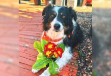 Baby, I love you, but…