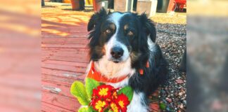 Baby, I love you, but…