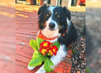 Baby, I love you, but…