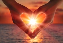 Our Heart vs Stress Unchecked