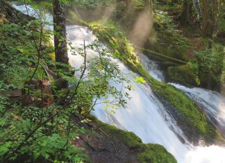 Pacific Northwest comes beautifully into Focus in Kid Poet’s Collection