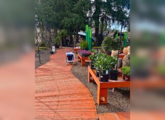 A Tisket, a Basket…