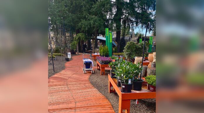 A Tisket, a Basket…