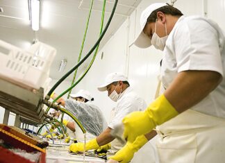 What Happened to the Labor Shortage?