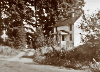 Who Cleared Your Land?