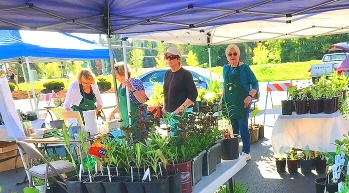 Tigard Garden Club’s Annual Plant Sale Returns