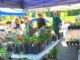 Tigard Garden Club’s Annual Plant Sale Returns