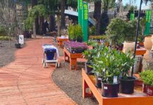 A Tisket, a Basket…