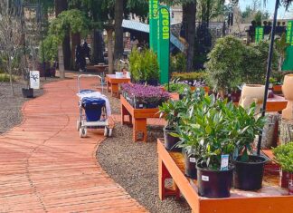 A Tisket, a Basket…