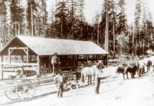 Tualatin’s First Farmer’s Market