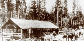 Tualatin’s First Farmer’s Market