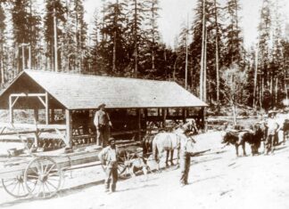 Tualatin’s First Farmer’s Market