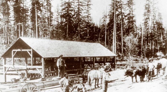 Tualatin’s First Farmer’s Market