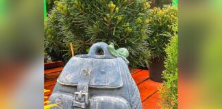 Winner Winner Dad’s Day Dinner