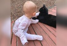 A Learning Experience