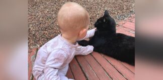 A Learning Experience