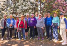 Fall Findings at the Juanita Pohl Center