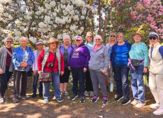 Fall Findings at the Juanita Pohl Center