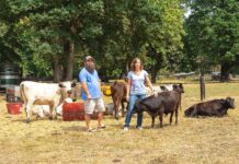 Local Family Farm Brings Thoughtfully-raised Meat from the Pasture to the Plate